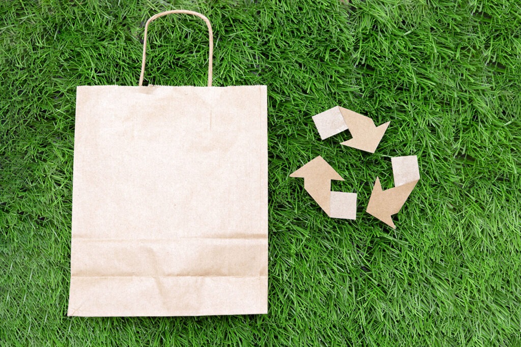 Sac kraft ecoresponsable ecosac pro