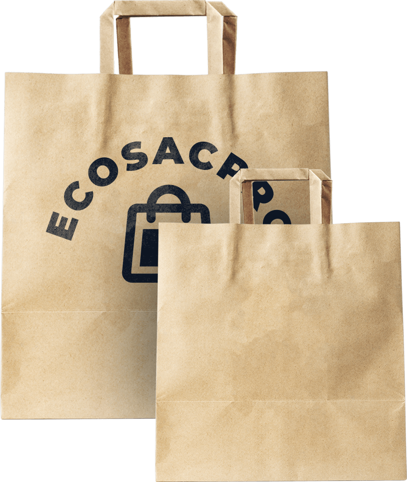 sac ecosac pro kraft